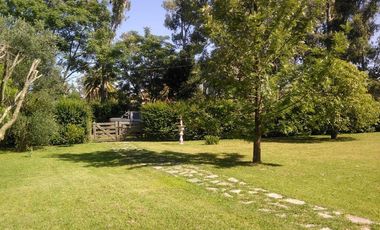 alquiler comercial 2000 M2 km.61,5 Ramal Escobar