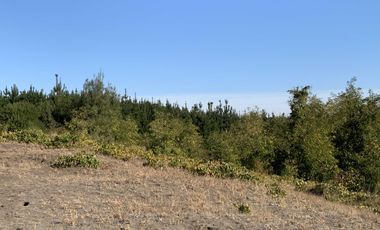 Parcela en venta en LOS ANGELES