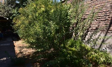 Sitio en Venta en Natalio Stein/Hamburgo