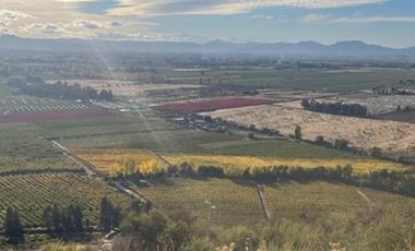 Parcela en Venta en Casa Parque Curicó
