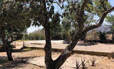 Terrenos comerciales en renta en Los Copales, San Agustín
