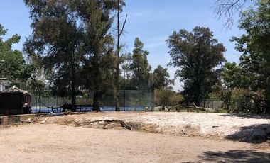 Terrenos comerciales en renta en Los Copales, San Agustín
