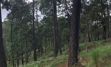 REMATE TERRENO EN VENTA EN FRACC. MONTE LOS FRAILES (MAZATI) EN TAPALAPA $3000,000 pesos.