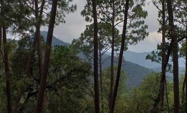 REMATE TERRENO EN VENTA EN FRACC. MONTE LOS FRAILES (MAZATI) EN TAPALAPA $3000,000 pesos.