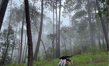 REMATE TERRENO EN VENTA EN FRACC. MONTE LOS FRAILES (MAZATI) EN TAPALAPA $3000,000 pesos.