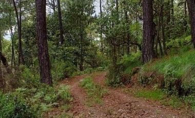 REMATE TERRENO EN VENTA EN FRACC. MONTE LOS FRAILES (MAZATI) EN TAPALAPA $3000,000 pesos.