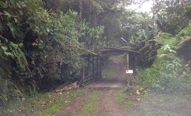 Venta hacienda de 205 hectáreas sector Pacto vía Tulipe