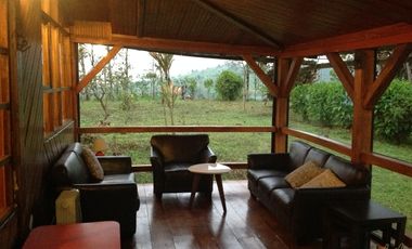 Venta hacienda de 205 hectáreas sector Pacto vía Tulipe