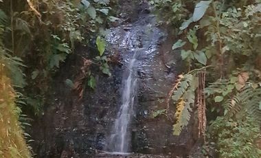 VENTA HOSTAL EN GUALEA VIA PACTO NOROCCIDENTE DE QUITO
