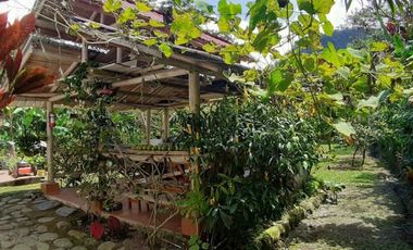 Venta Hermosa casa rentera en Mindo