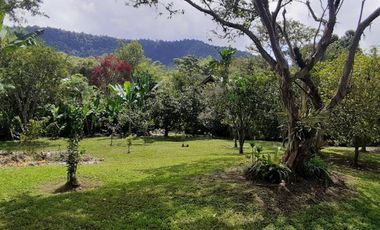 Venta Hermosa casa rentera en Mindo