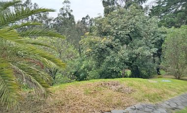 VENTA QUINTA  1500000.00