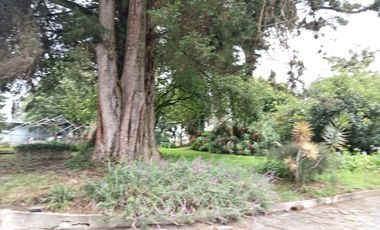 VENTA QUINTA  1500000.00