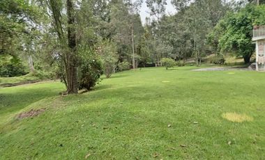 VENTA QUINTA  1500000.00