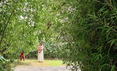 VENTA QUINTA  1500000.00