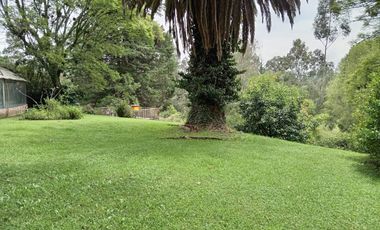 VENTA QUINTA  1500000.00