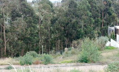 ¡TERRENO EN VENTA EN PINLLO!