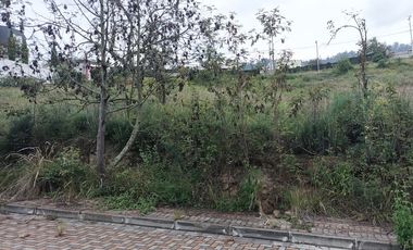 ¡TERRENO EN VENTA EN PINLLO!