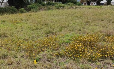 TERRENO ESQUINERO EN VENTA EN QUILLÁN LOMA, AMBATO