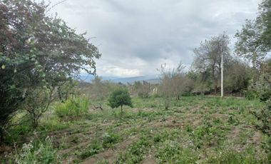 TERRENO EN VENTA