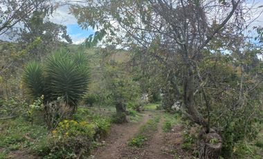 TERRENO EN VENTA