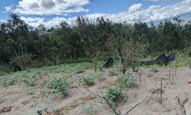 EN VENTA TERRENO CON CASA RENTERA DE DOS DEPARTAMENTOS Y SUITE. PINLLO AMBATO