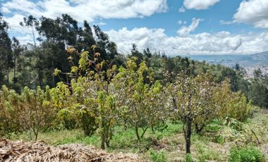 EN VENTA TERRENO CON CASA RENTERA DE DOS DEPARTAMENTOS Y SUITE. PINLLO AMBATO