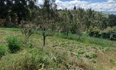 EN VENTA TERRENO CON CASA RENTERA DE DOS DEPARTAMENTOS Y SUITE. PINLLO AMBATO