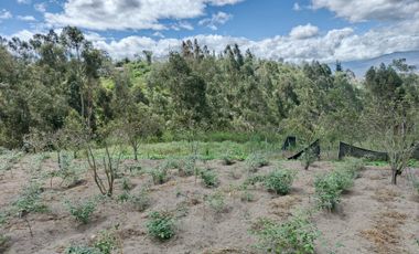 EN VENTA TERRENO CON CASA RENTERA DE DOS DEPARTAMENTOS Y SUITE. PINLLO AMBATO