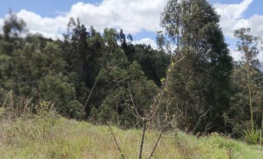 EN VENTA TERRENO CON CASA RENTERA DE DOS DEPARTAMENTOS Y SUITE. PINLLO AMBATO