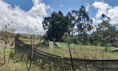 EN VENTA TERRENO CON CASA RENTERA DE DOS DEPARTAMENTOS Y SUITE. PINLLO AMBATO