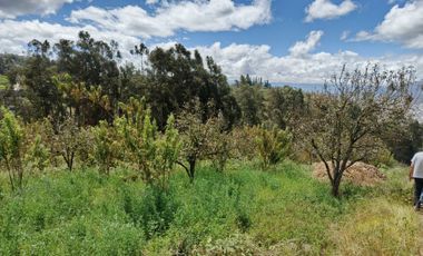EN VENTA TERRENO CON CASA RENTERA DE DOS DEPARTAMENTOS Y SUITE. PINLLO AMBATO