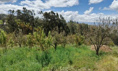 EN VENTA TERRENO CON CASA RENTERA DE DOS DEPARTAMENTOS Y SUITE. PINLLO AMBATO