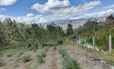 EN VENTA TERRENO CON CASA RENTERA DE DOS DEPARTAMENTOS Y SUITE. PINLLO AMBATO