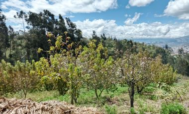 EN VENTA TERRENO CON CASA RENTERA DE DOS DEPARTAMENTOS Y SUITE. PINLLO AMBATO