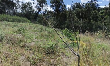 EN VENTA TERRENO CON CASA RENTERA DE DOS DEPARTAMENTOS Y SUITE. PINLLO AMBATO