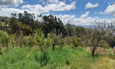 EN VENTA TERRENO CON CASA RENTERA DE DOS DEPARTAMENTOS Y SUITE. PINLLO AMBATO