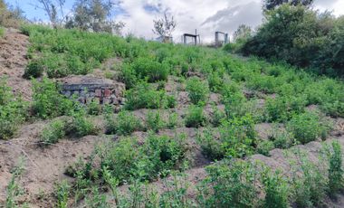 EN VENTA TERRENO PARA  VIVIENDA EN PINLLO AMBATO