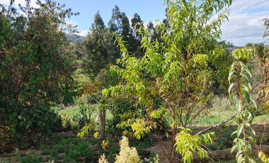 EN VENTA TERRENO PARA  VIVIENDA EN PINLLO AMBATO