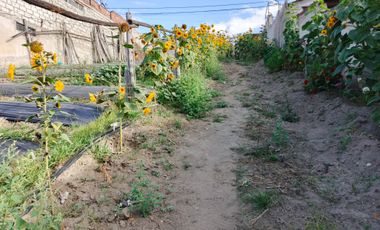EN VENTA TERRENO PARA  VIVIENDA EN PINLLO AMBATO