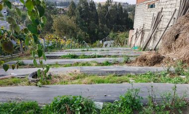 EN VENTA TERRENO PARA  VIVIENDA EN PINLLO AMBATO