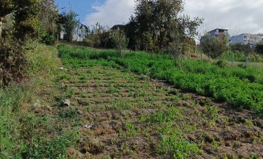 EN VENTA TERRENO PARA  VIVIENDA EN PINLLO AMBATO