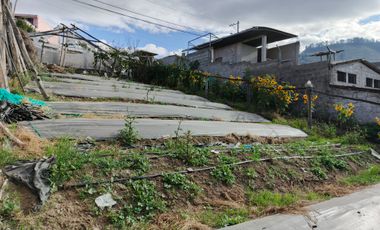 EN VENTA TERRENO PARA  VIVIENDA EN PINLLO AMBATO
