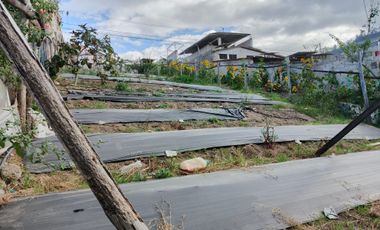EN VENTA TERRENO PARA  VIVIENDA EN PINLLO AMBATO