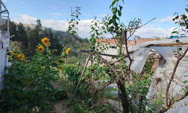 EN VENTA TERRENO PARA  VIVIENDA EN PINLLO AMBATO
