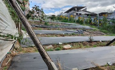 EN VENTA TERRENO PARA  VIVIENDA EN PINLLO AMBATO