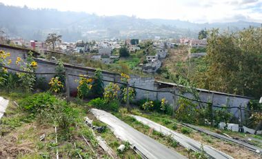 EN VENTA TERRENO PARA  VIVIENDA EN PINLLO AMBATO