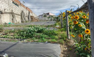 EN VENTA TERRENO PARA  VIVIENDA EN PINLLO AMBATO