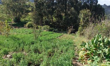 EN VENTA TERRENO PARA  VIVIENDA EN PINLLO AMBATO