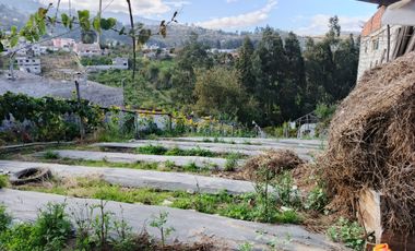 EN VENTA TERRENO PARA  VIVIENDA EN PINLLO AMBATO